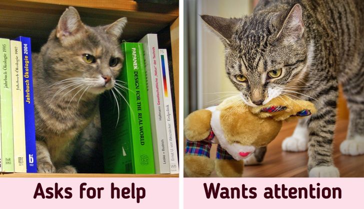 f747be5663918c080d254ff30d