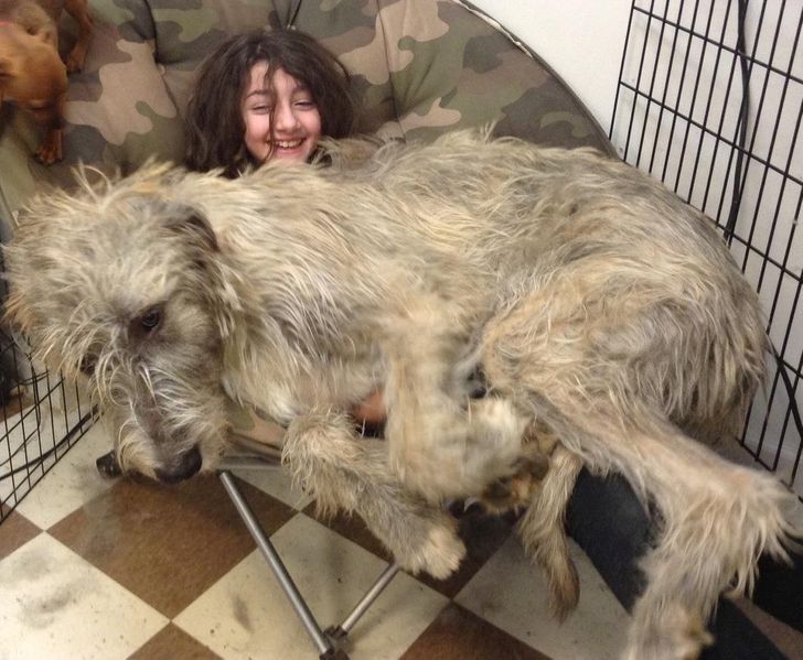 f755535c5eb8b82c37a7b2721f