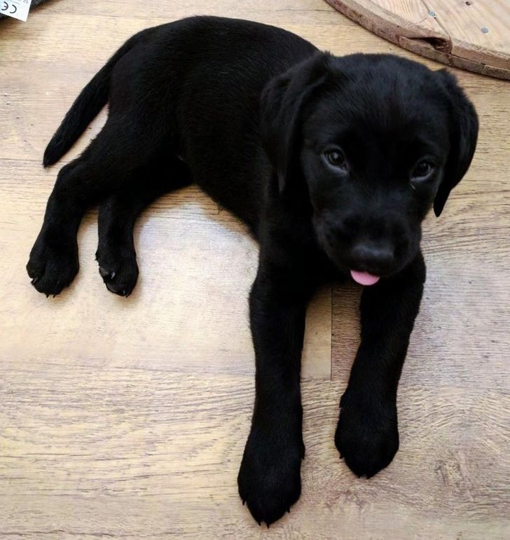 f759ff5942956579537b2ea7be