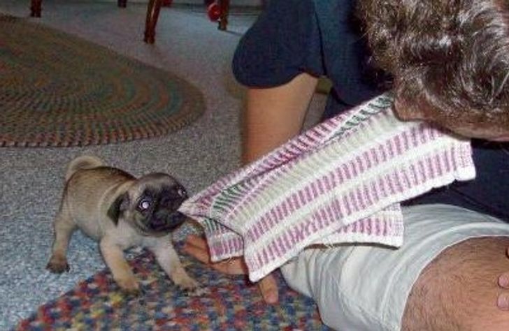 f7735e51b6b805f6cf087cf167