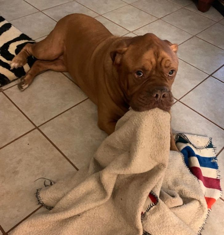 f7793f57da8db91f465645ea02