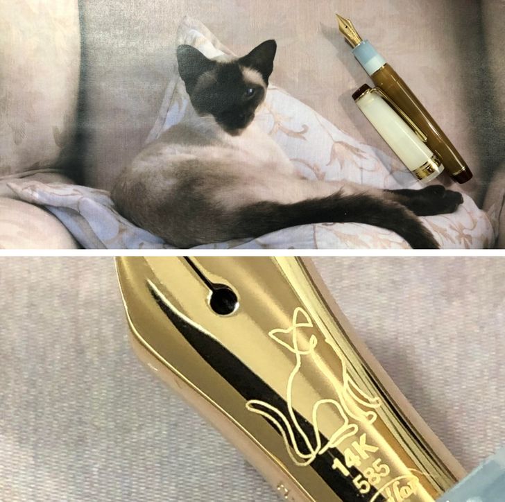 f786155a88bb387c99f64d758f