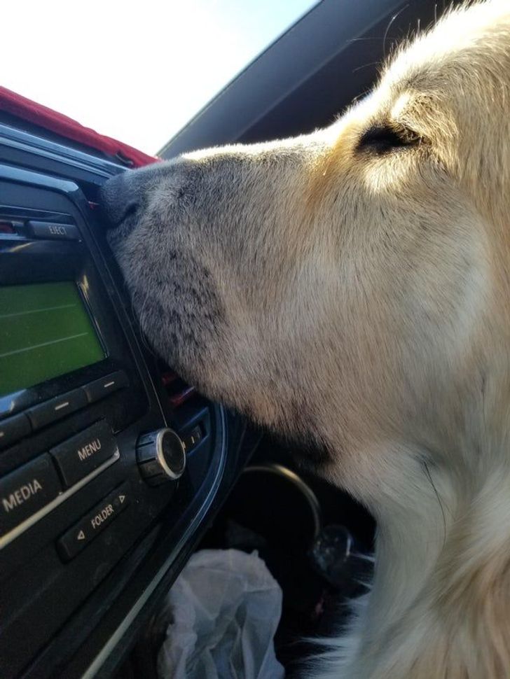 f78c275f4496444a3fd1b95097