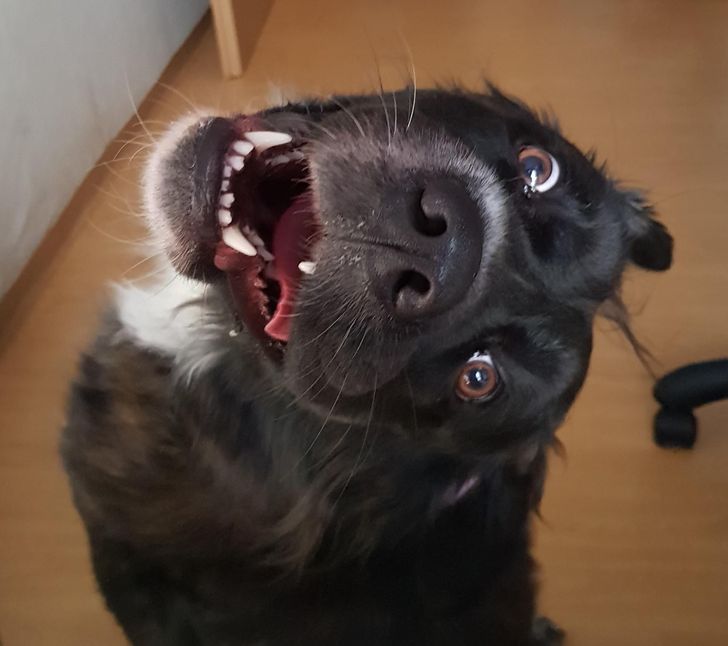 f78e1251959797de0dc285ab28