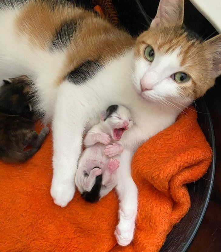 f7911c5d5c845bb96f6d0e6896 f7911c5d5c845bb96f6d0e6896