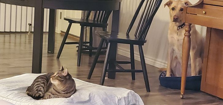 f794595d949c72d49a4dfbdb39