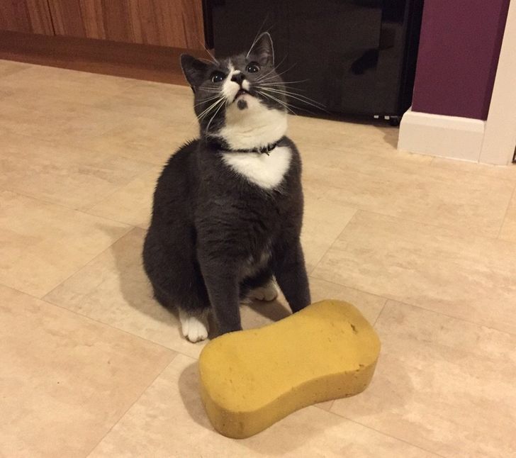 f794f2586db181795e61dcb6ea