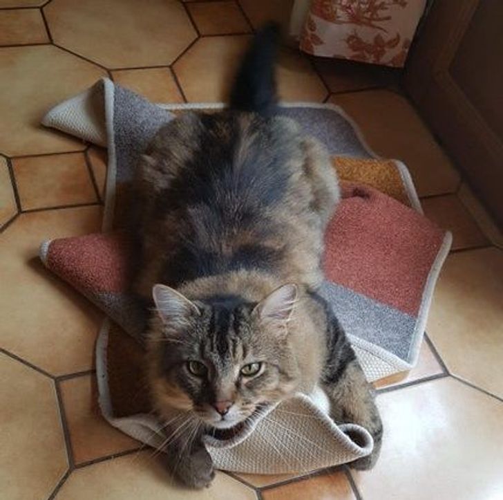 f79c2652fd9101d8b0822a26b3