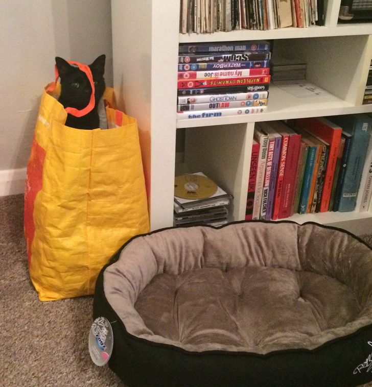 f79d845bc5a61d2bcc82bed86c