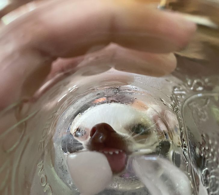 f79fa654ef9b34141cda929705 f79fa654ef9b34141cda929705