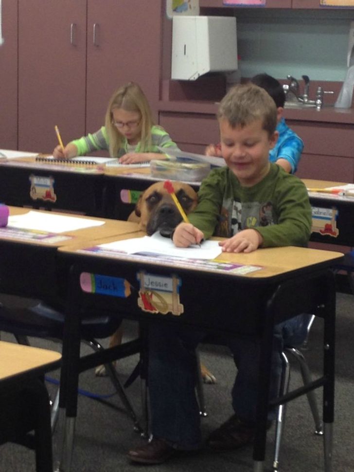 f7a1e7575193f7cff6f466e471