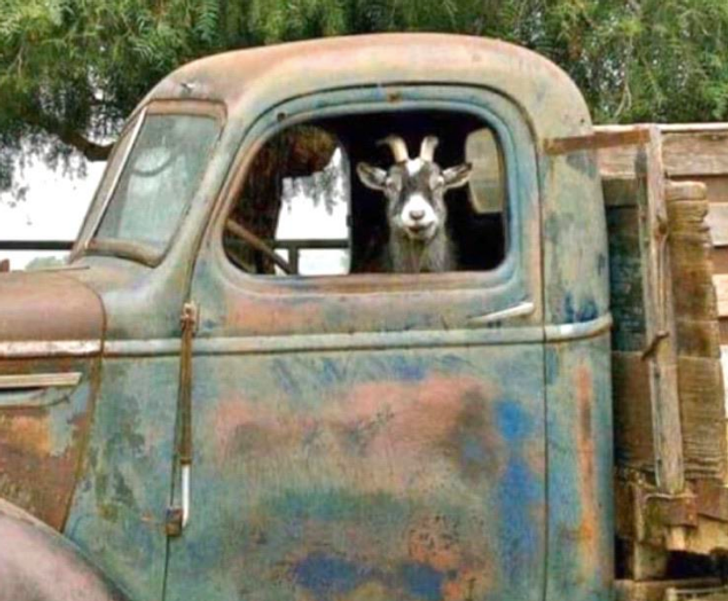 f7a4ee5d7880f4efd378fe734f