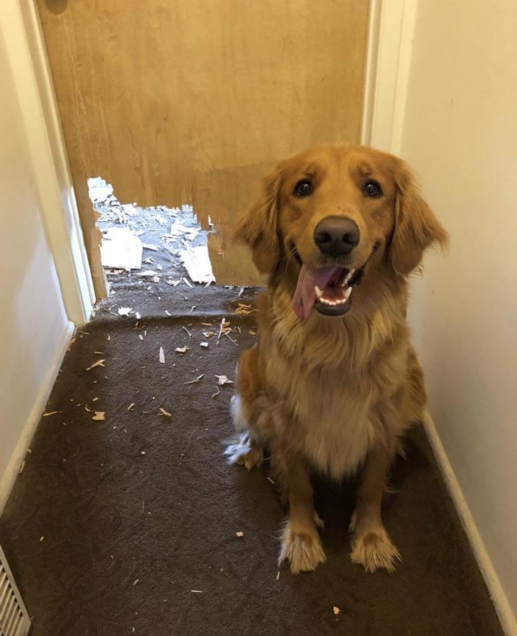 f7abad535db1ef9005302e6815