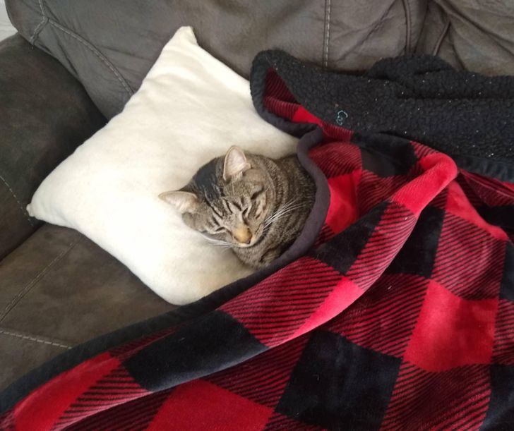 f7b3195efd9f62ad9b99d841d3