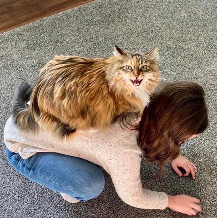 f7bf7f566ab26077e383269bae