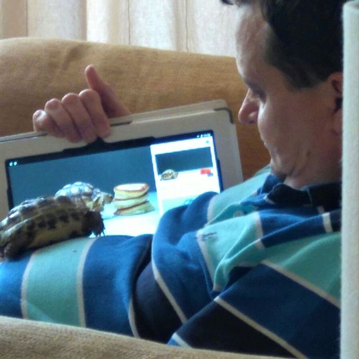 f7dc0052b6b9ed32f920d5a2e9