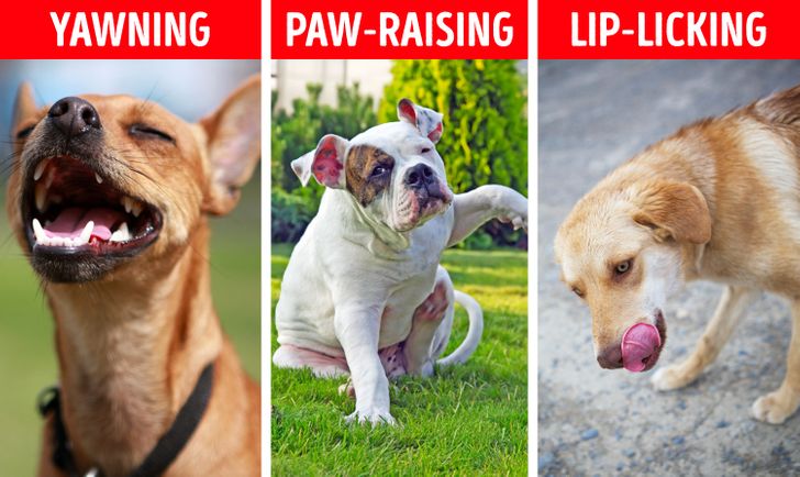 f7e44a54628def83edfae001f9