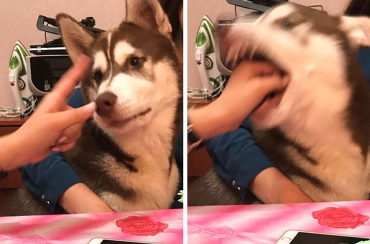 f7ec795dd29af3f1126dea8414