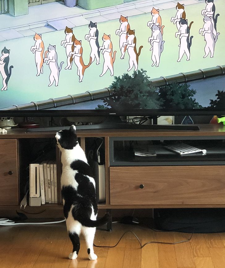 f7ecb7575ea6391d99f8b829b6