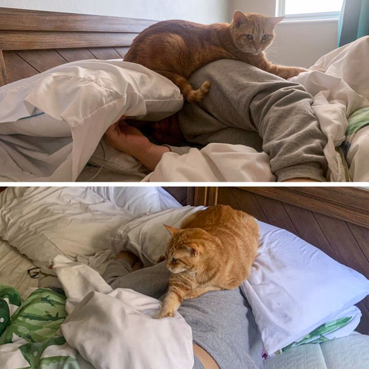 f7ecd9514ca2d9e3904c8d29ff