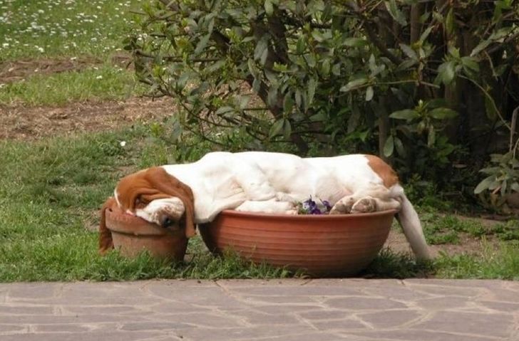 f80dba5a8ebe602bd5038eecc7