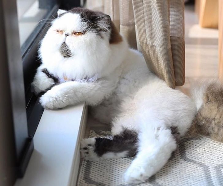 f811ba5f98a4701bed42f3c77b