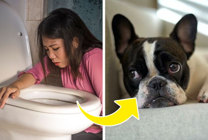 f812d75f97b8ddd4dbf5c86cfb