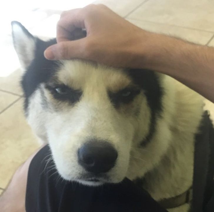 f817475a06b9e3c9b9ca4a84e5