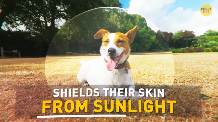 f820685197a24f3c23d9a0be94 f820685197a24f3c23d9a0be94