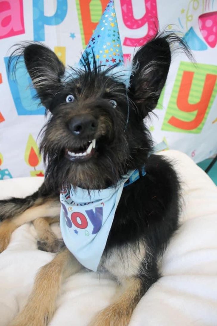 f82c2b5758a00312b678b2ed03 f82c2b5758a00312b678b2ed03