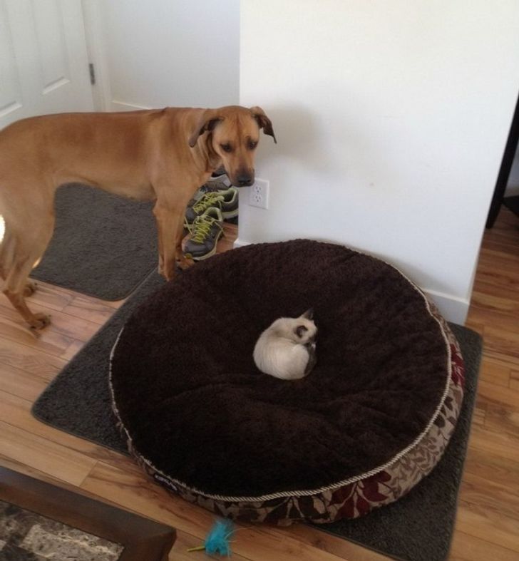 f82ce25a23b40705b4f10b46a9