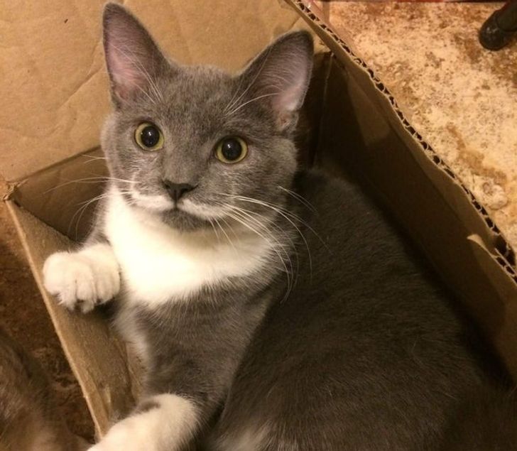 f83c295369b118c03d68e2cc99