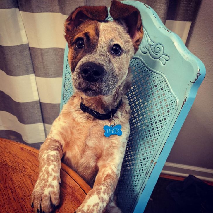 f84cff5bcdaa37b537c2517a48