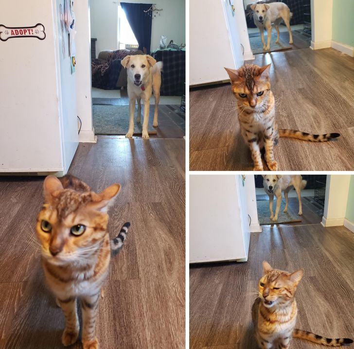 f84e655ce58c7b4f86a6103c8d