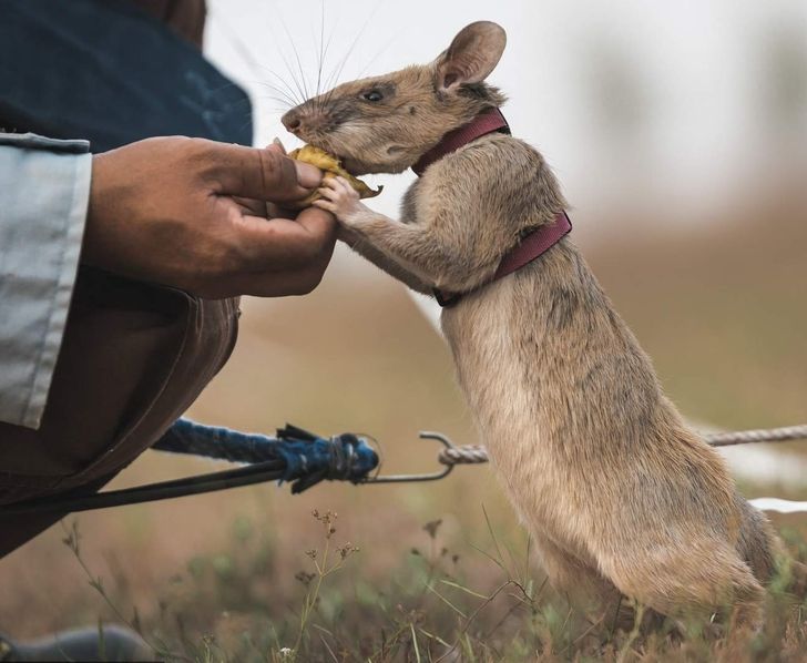 f8566c53238b117ee2f50f6885