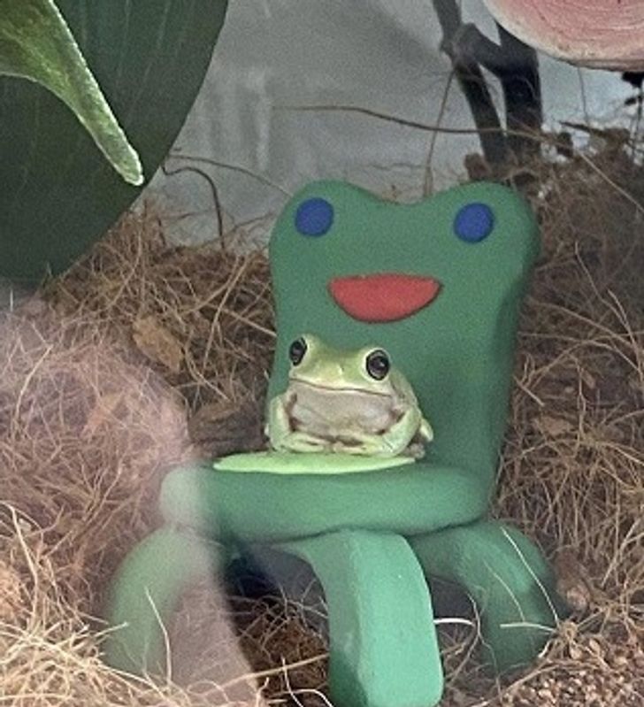 f85afd526bab24679d9a5cbc59