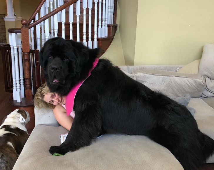 f85d0158d7a76219234ab81510