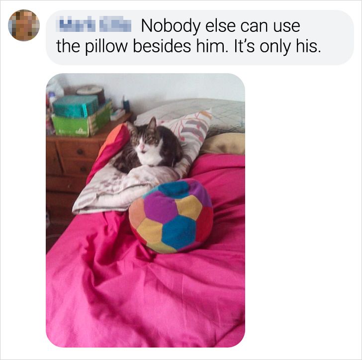 f8626e53328d390f40c81c3d90