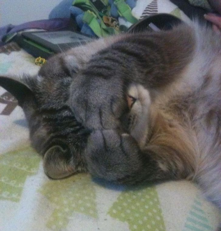 f866bc579c8898cf2d069a7875