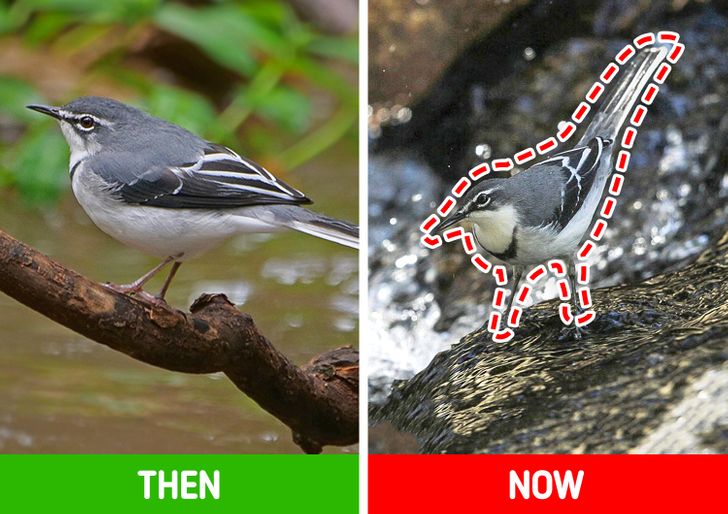 f86d995d419c00f1d762110be9