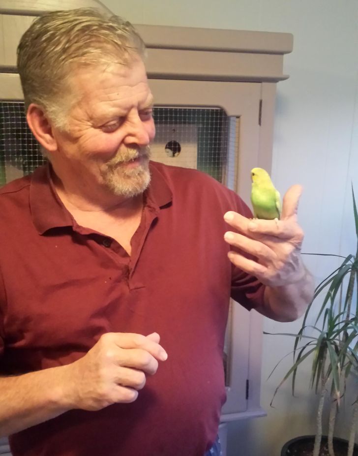 f87b165bf2910a38106aab4ff7