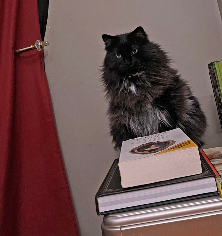 f87d875b969c42477c7cf8aab6