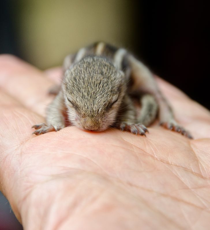 f8866656d1bbaee620de03c269