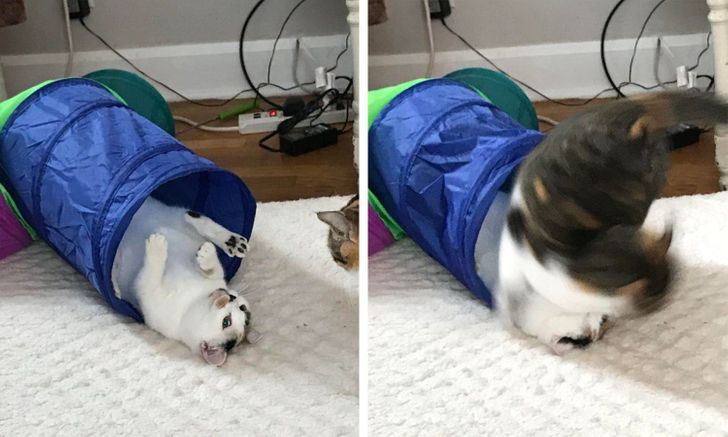 f8866850ba9e4a1c21f585d098