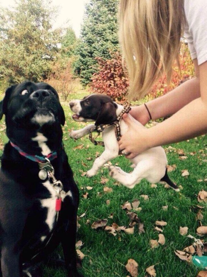 f88a2754b78965dd724de522b6