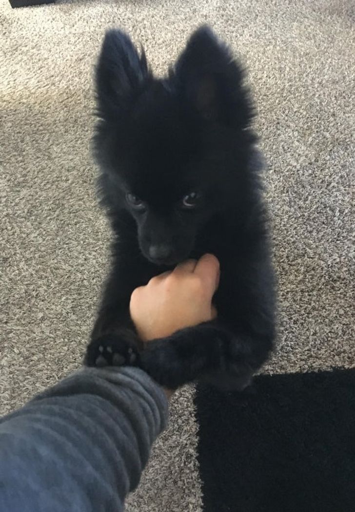 f89474541c843cfbf63616c2c5