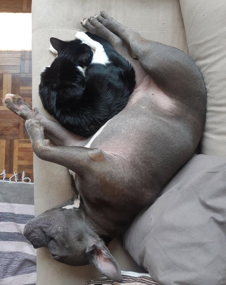 f895d55ae89abd54e575b0d480