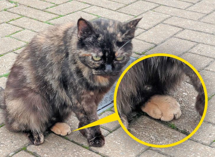 f896bb552f80f902de8998141d