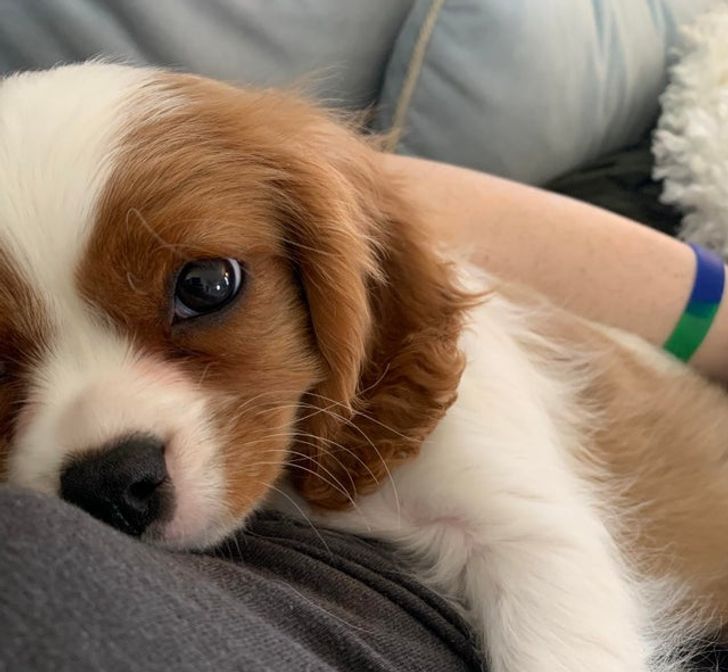 f8970e57bc8c137d011603d26c