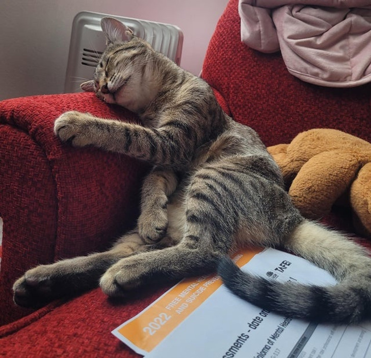 f89bc15dc0af884fa2307d4b85